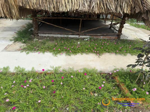 Sang quán ăn - nhậu