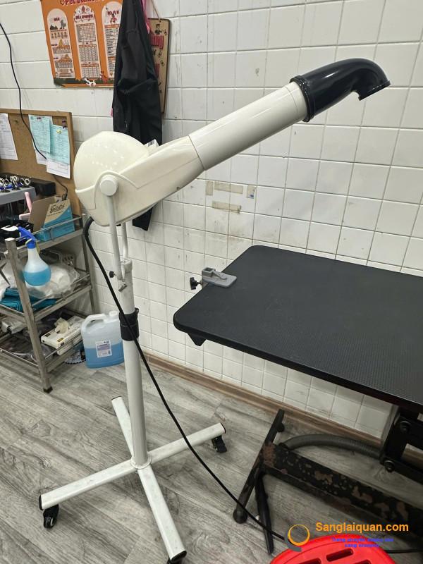 Sang cửa hàng thú nuôi